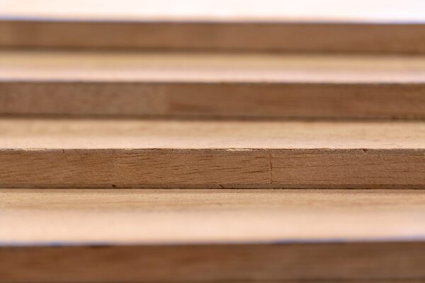 Triplay Parota - Image 4