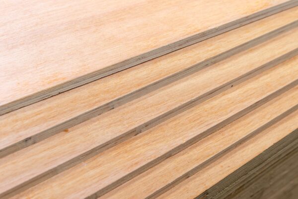 Tiplay Pencil Cedar - Image 3