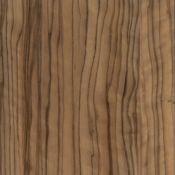 Olivo - Image 3